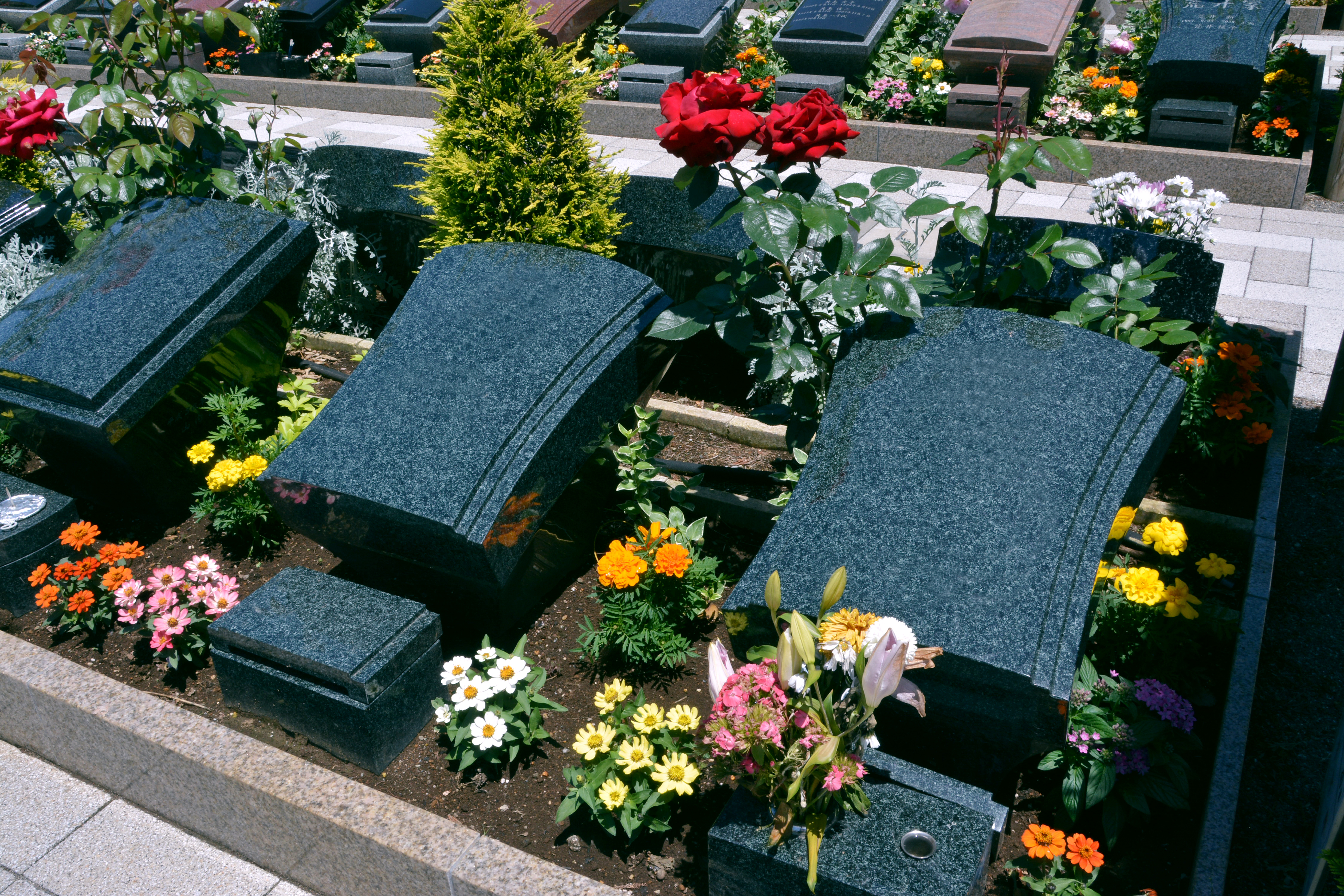 所沢西武霊園の写真