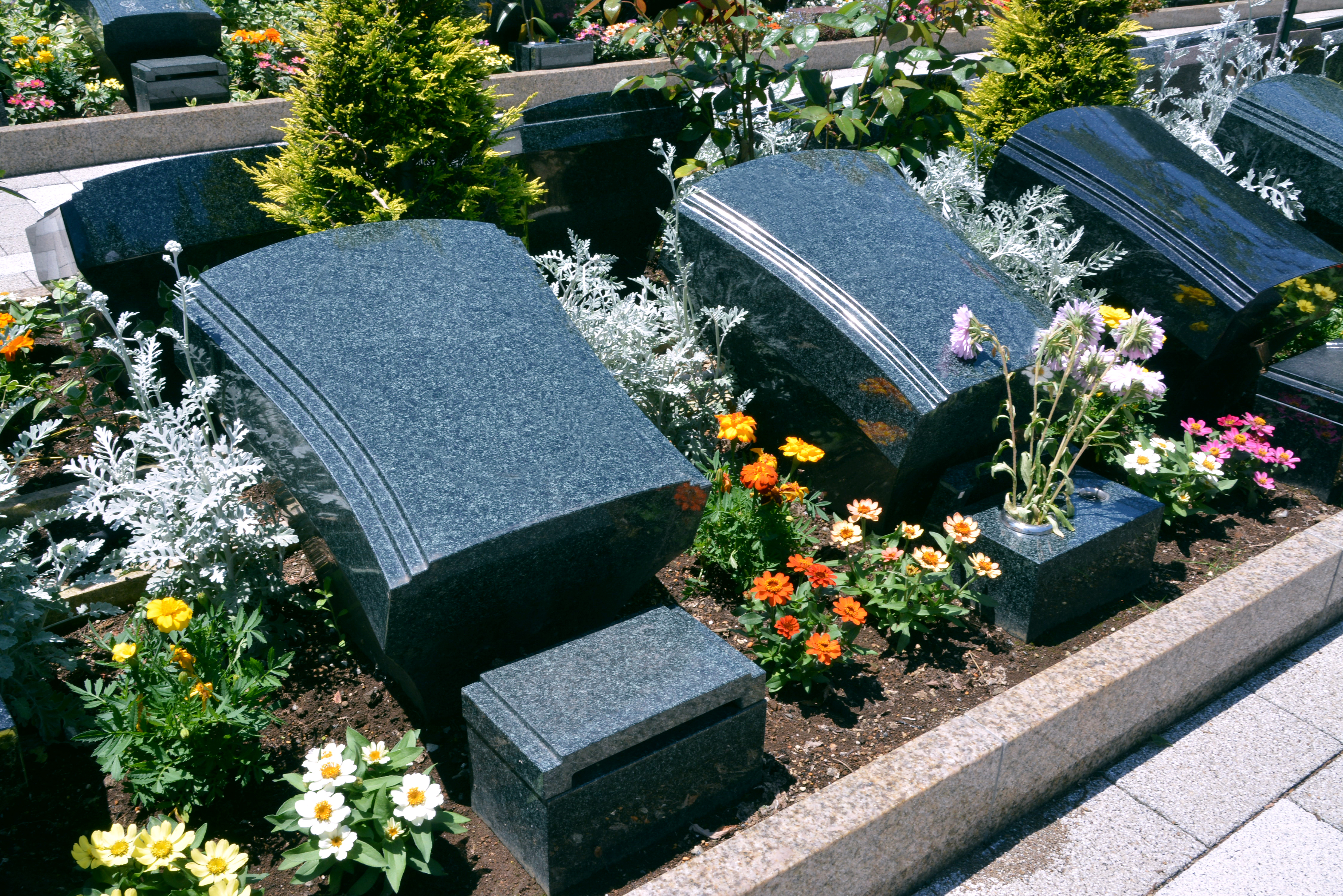 所沢西武霊園の写真