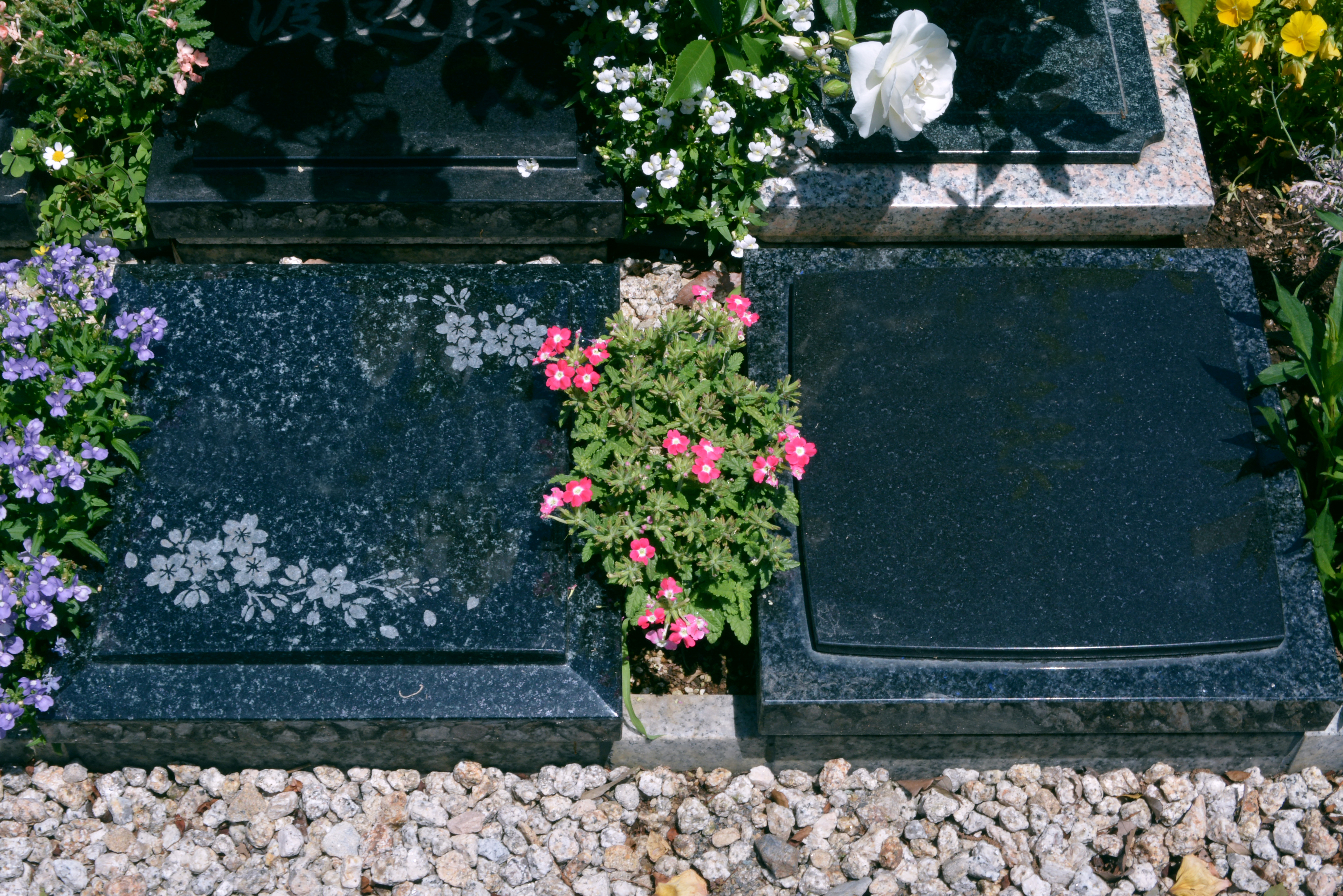 所沢西武霊園の写真