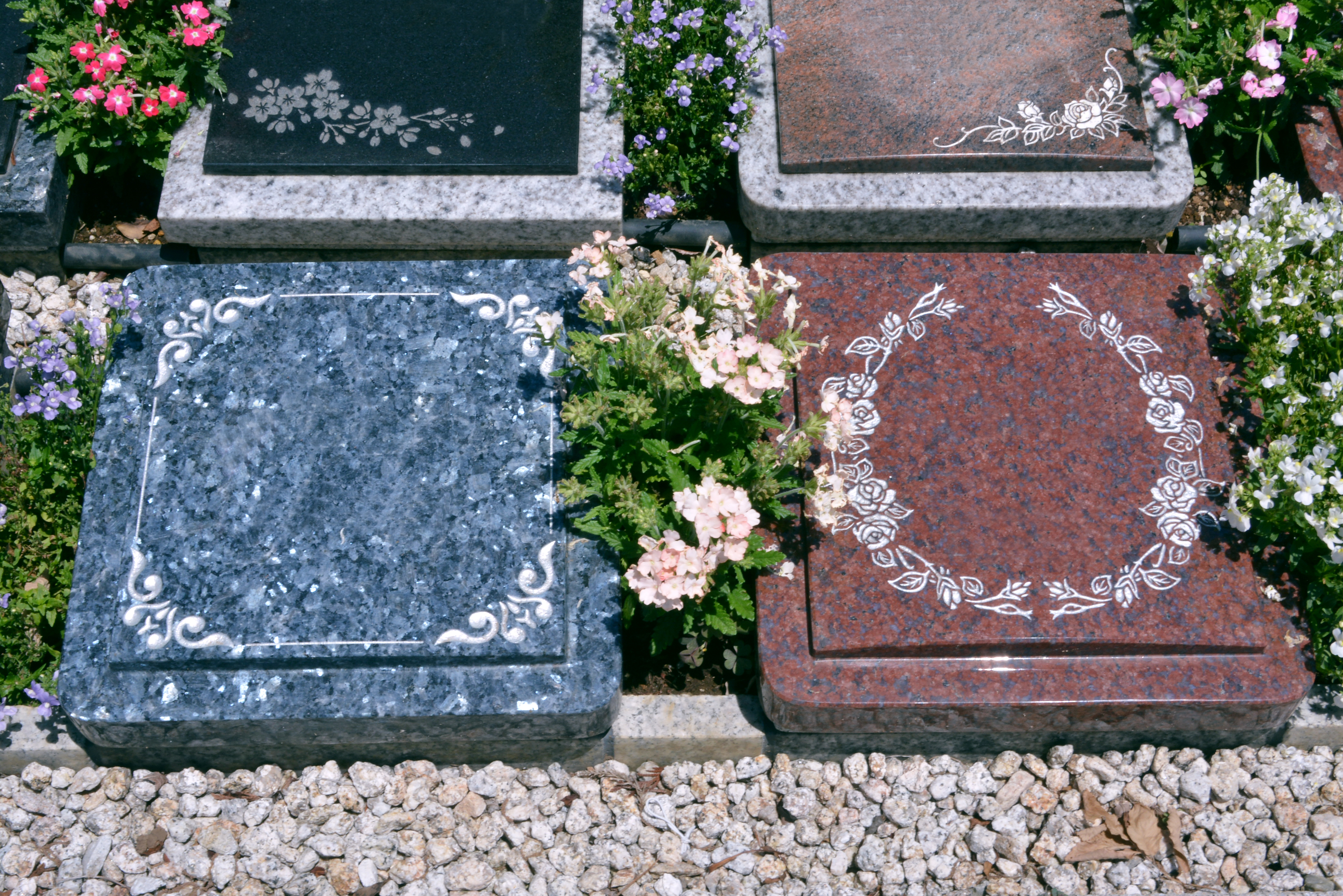 所沢西武霊園の写真