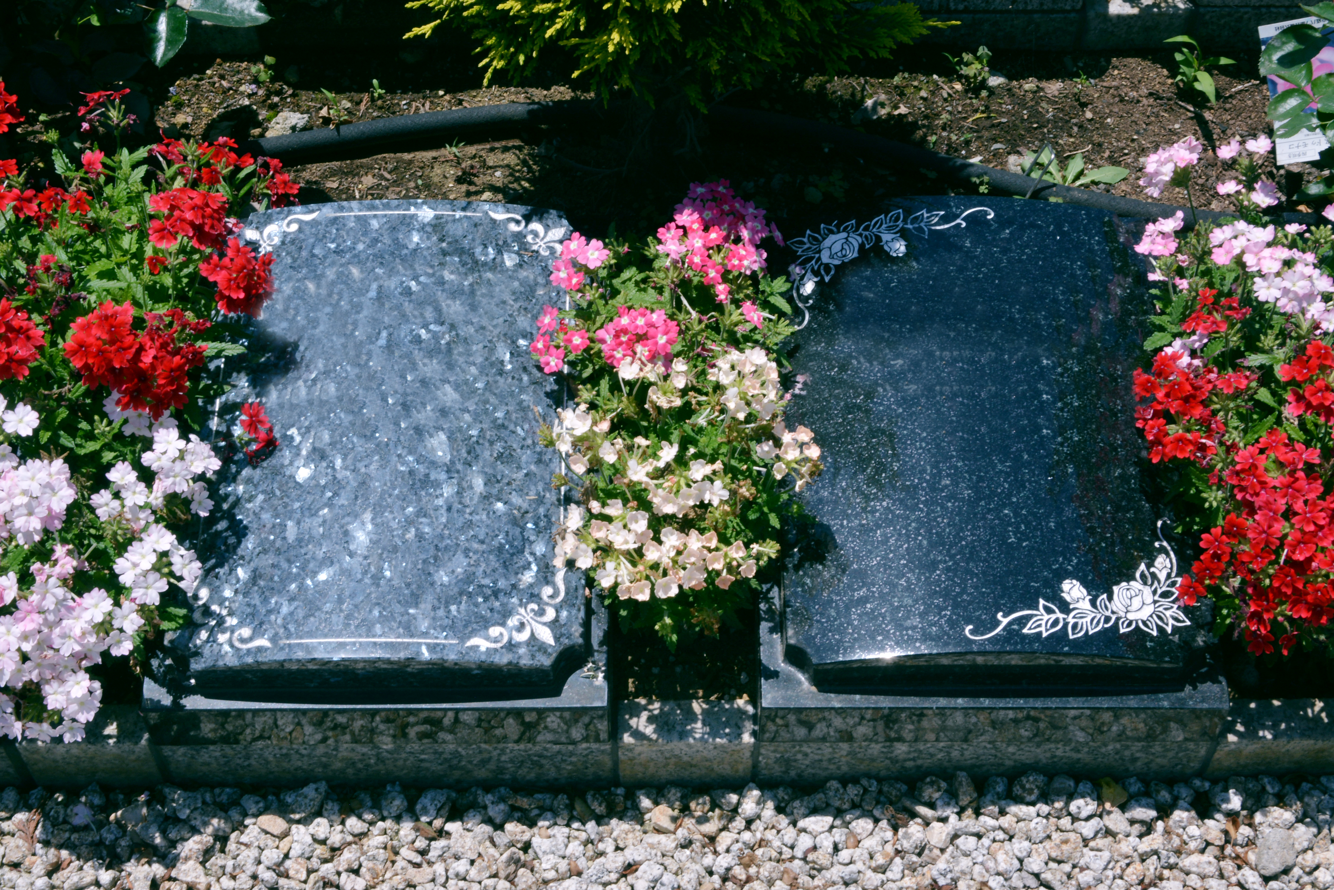 所沢西武霊園の写真