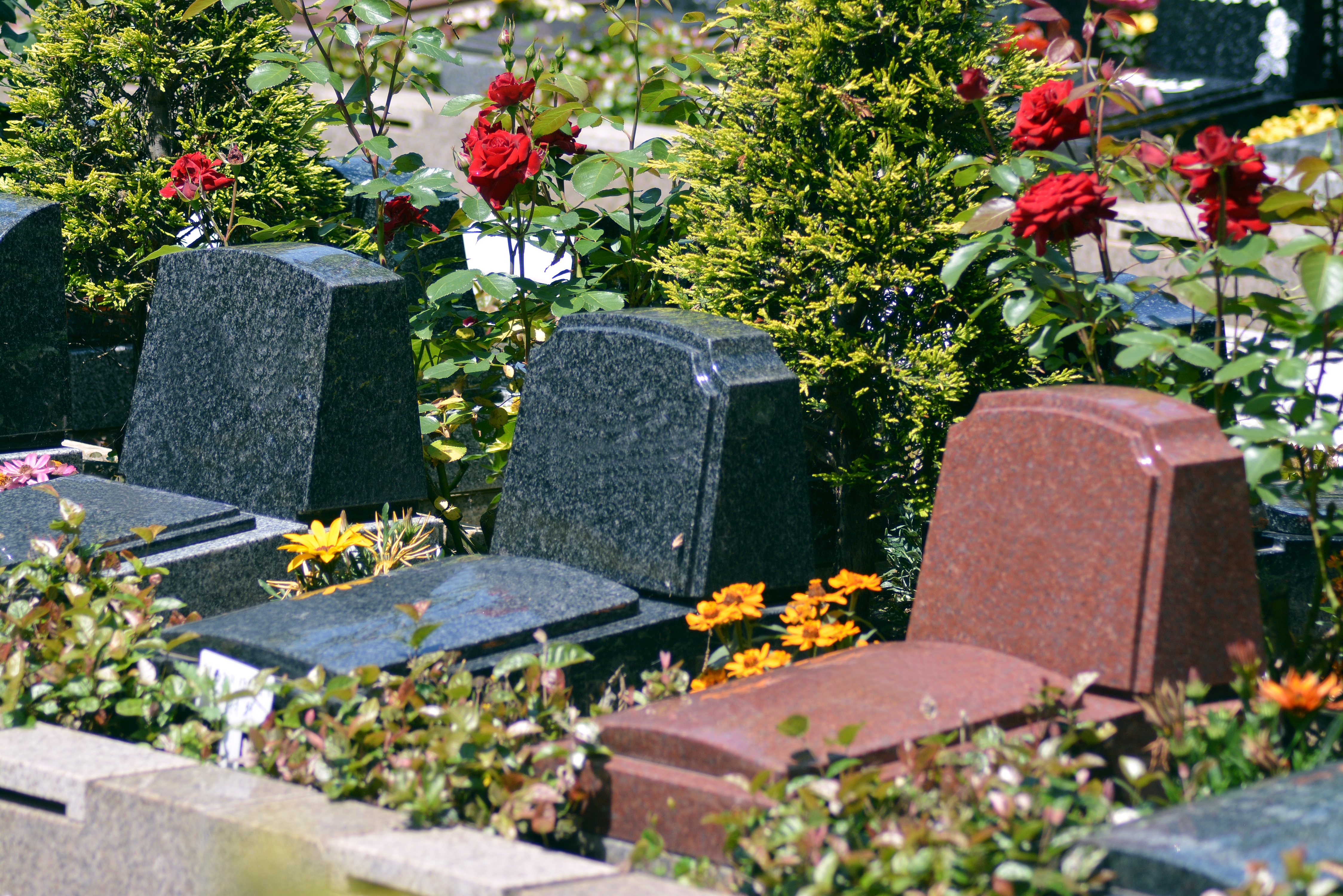 所沢西武霊園の写真