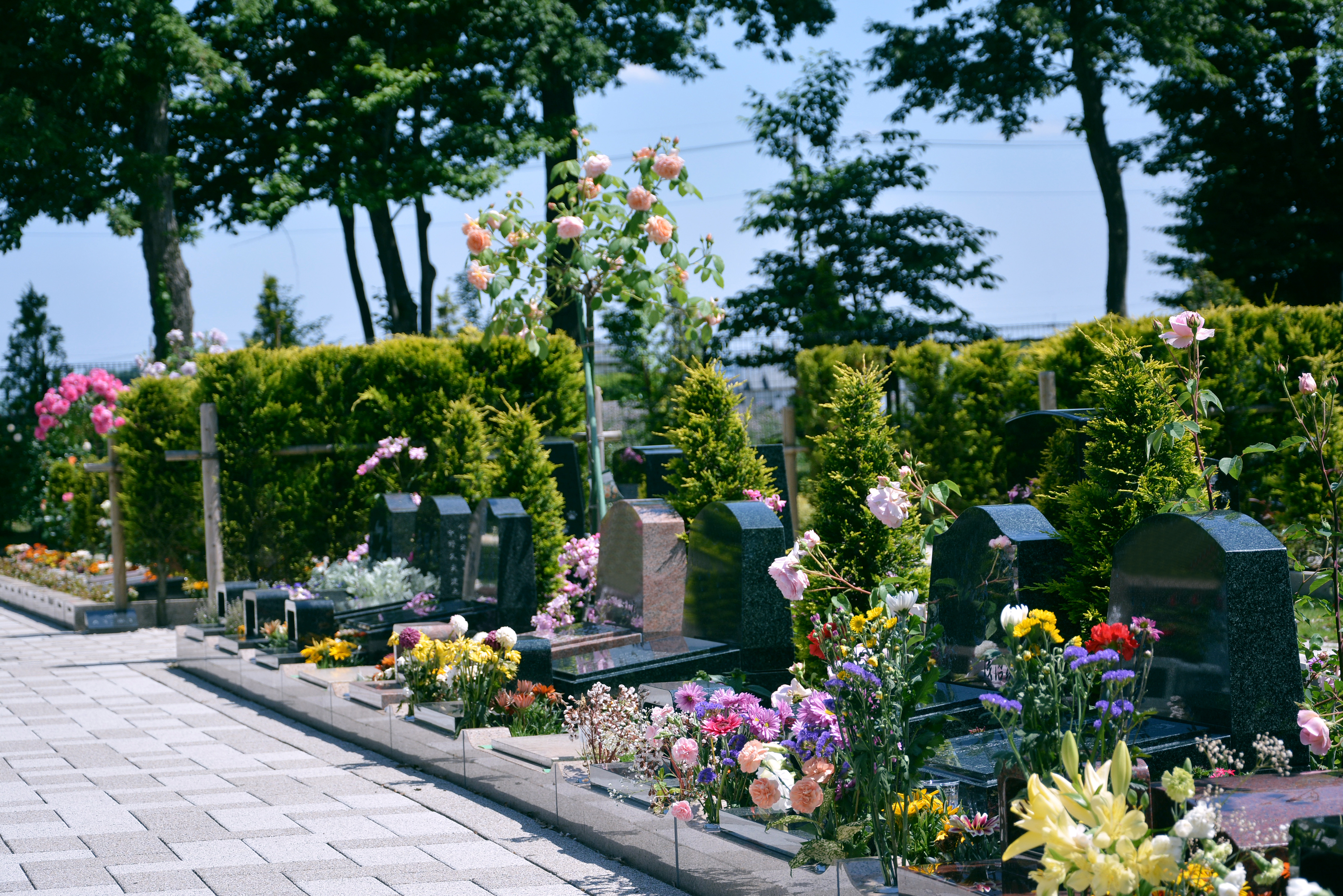 所沢西武霊園の写真