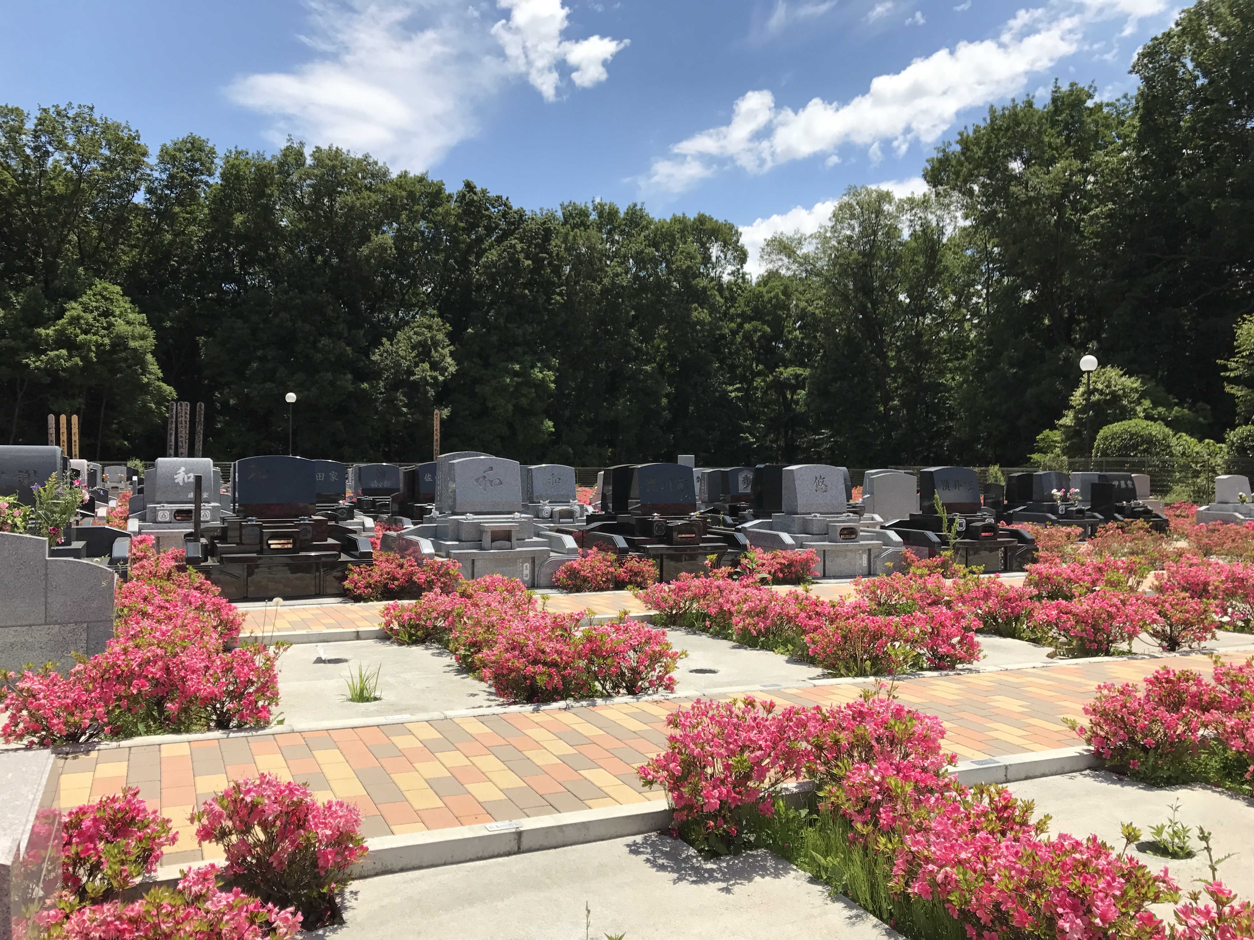 フォレスト所沢の写真