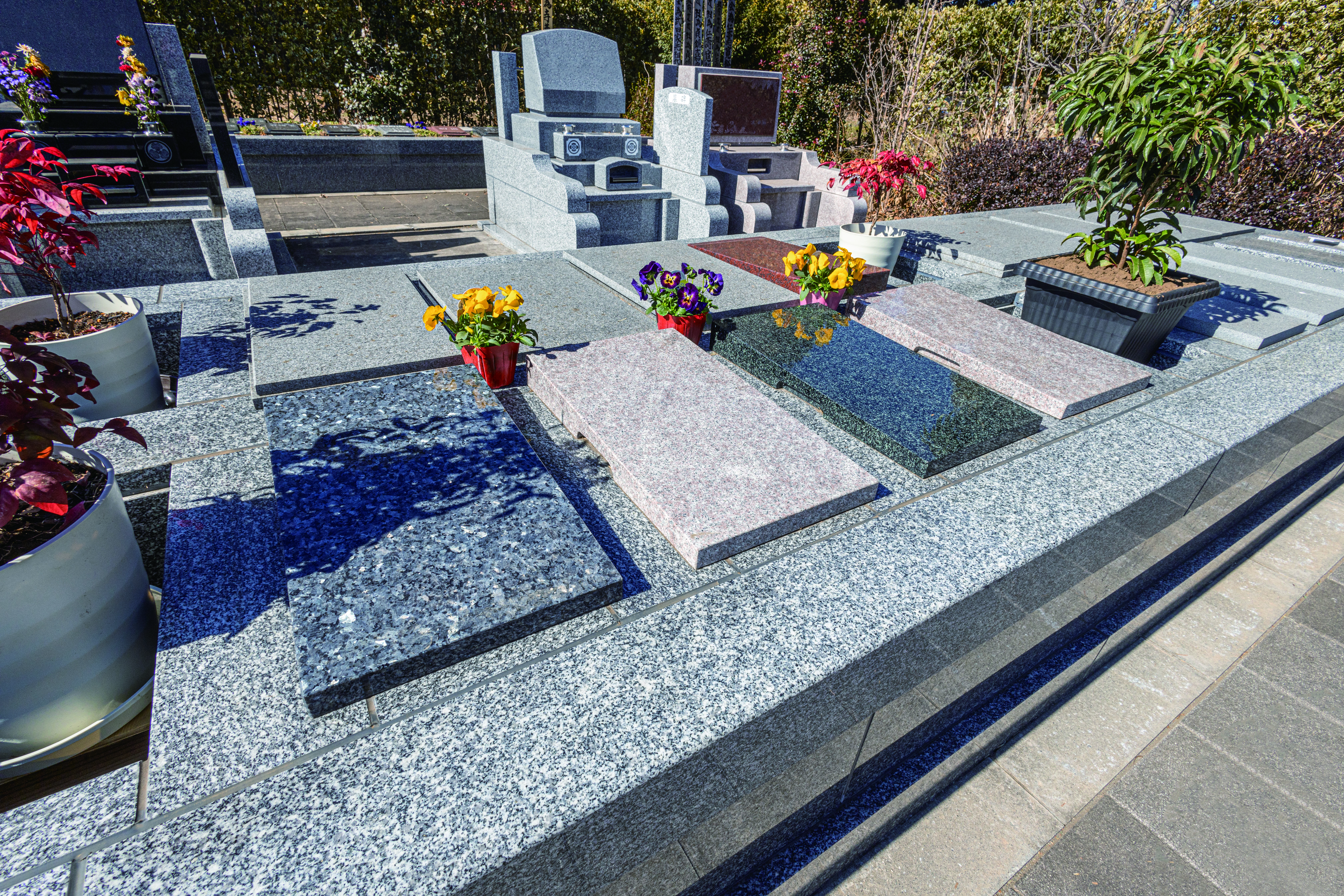 吉祥院墓苑の写真