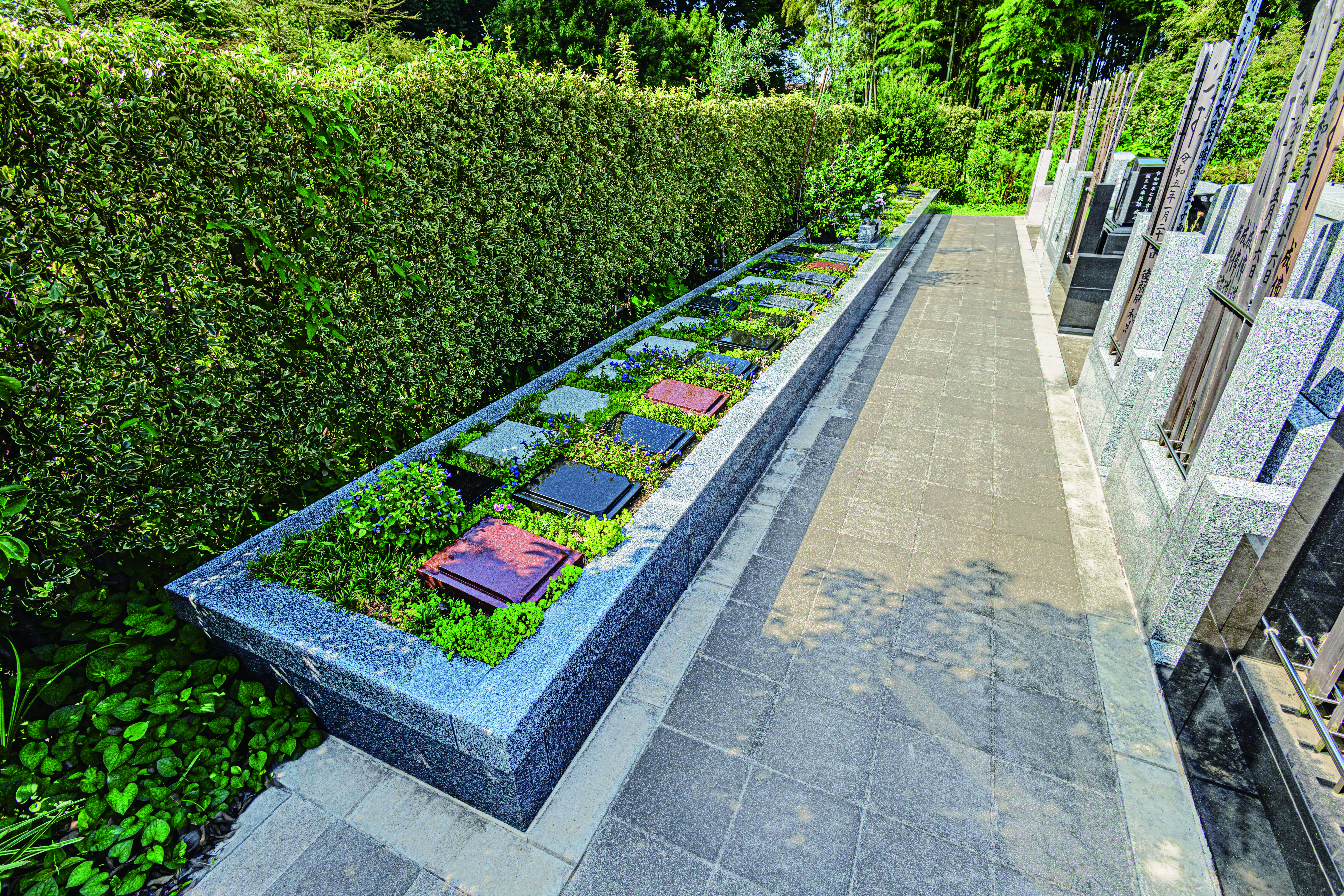 吉祥院墓苑の写真