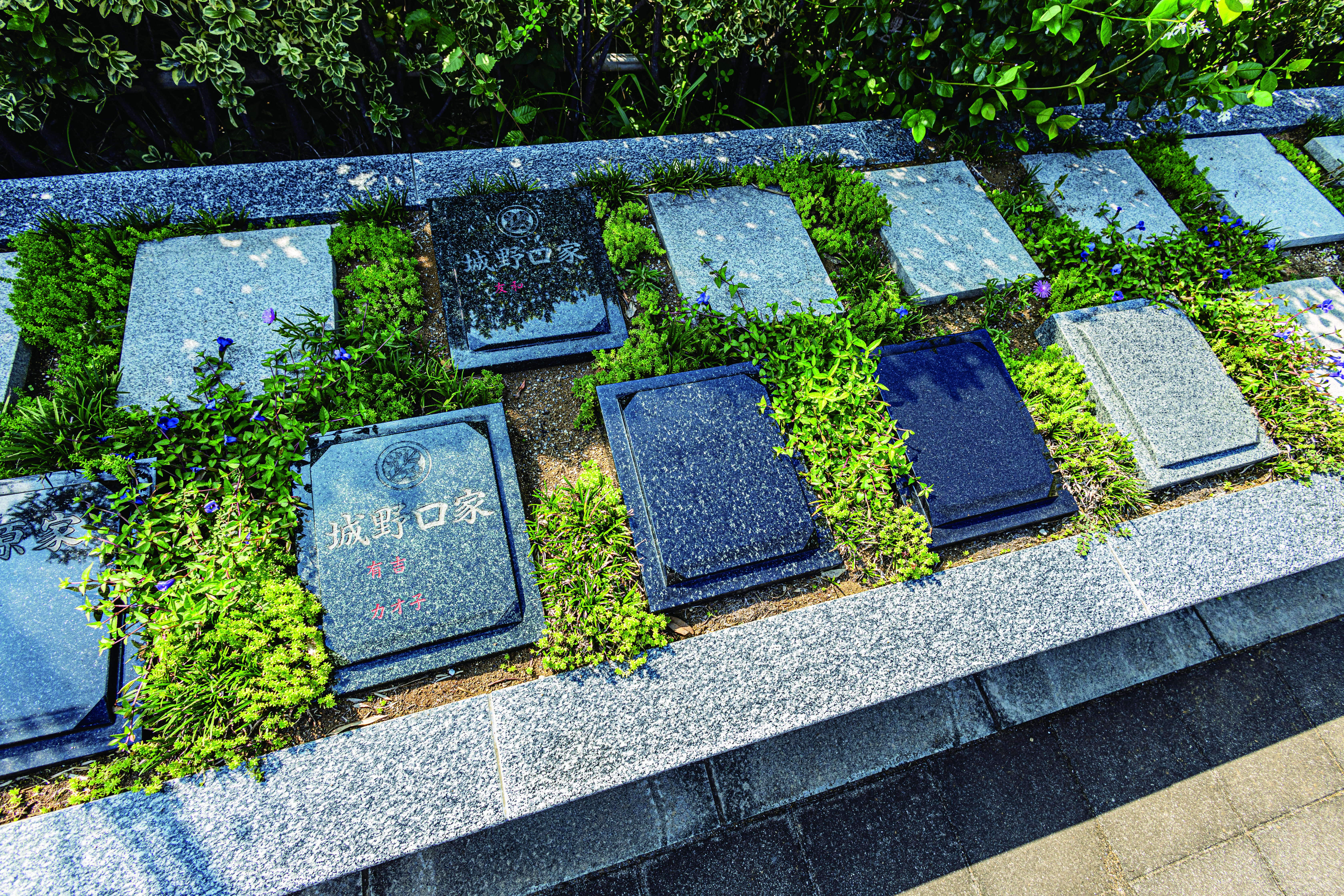 吉祥院墓苑の写真