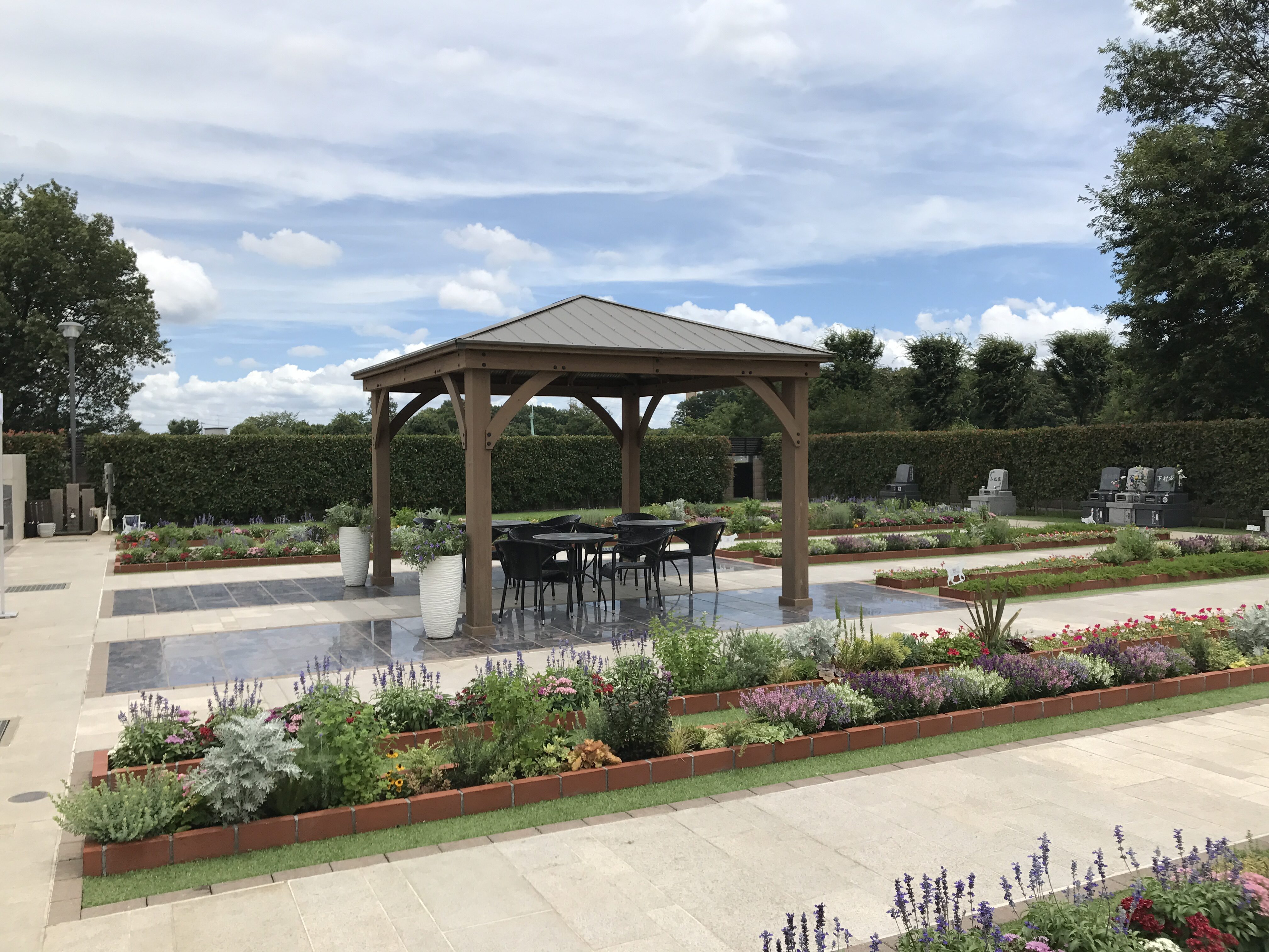 サニープレイス所沢の写真