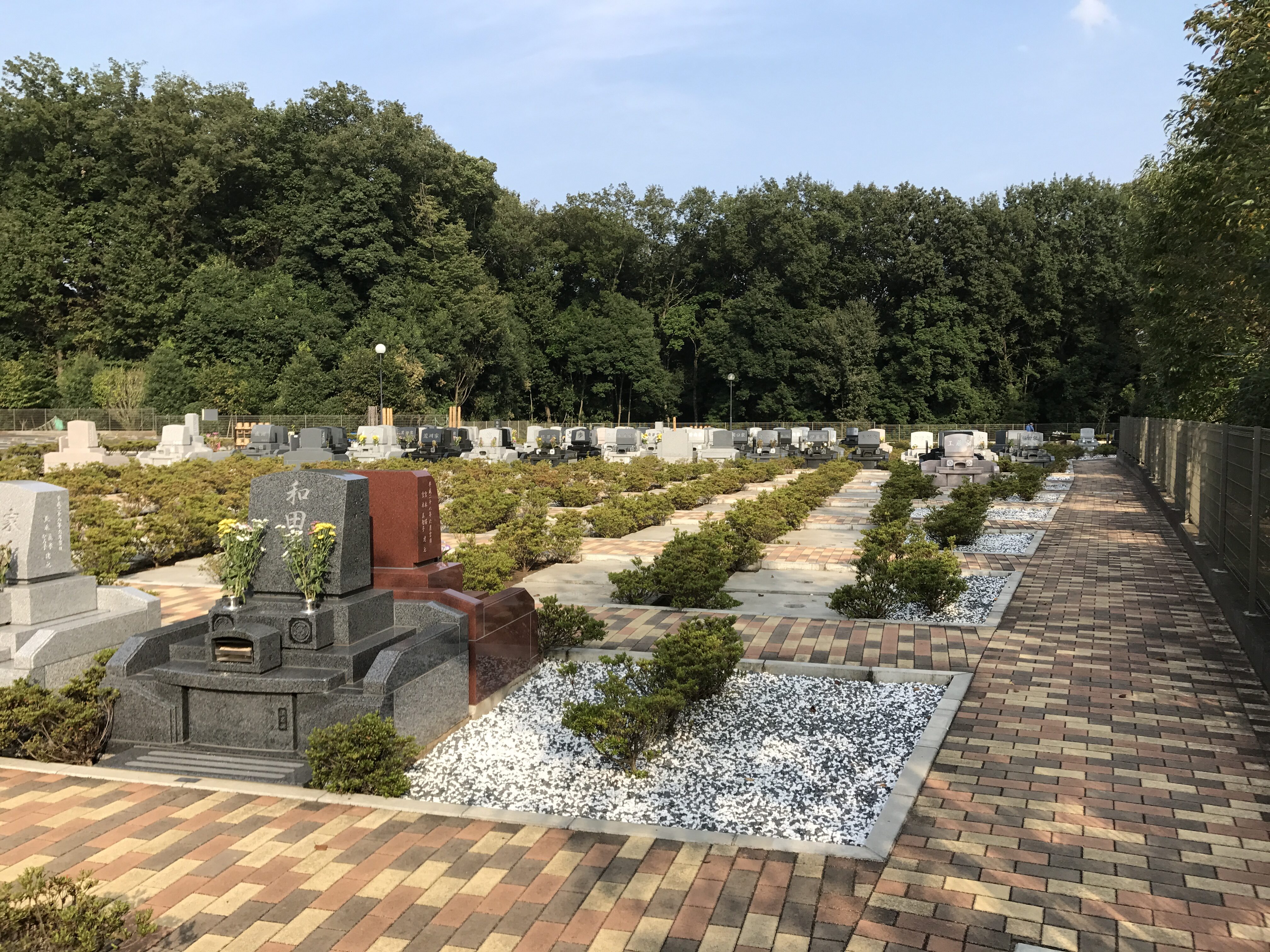 フォレスト所沢の写真